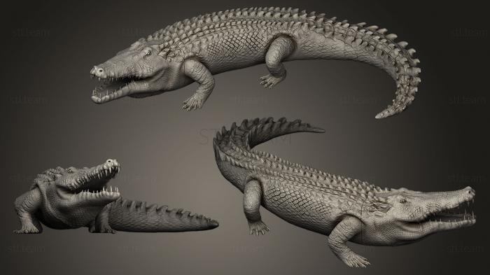 3D модель Крокодил (STL)
